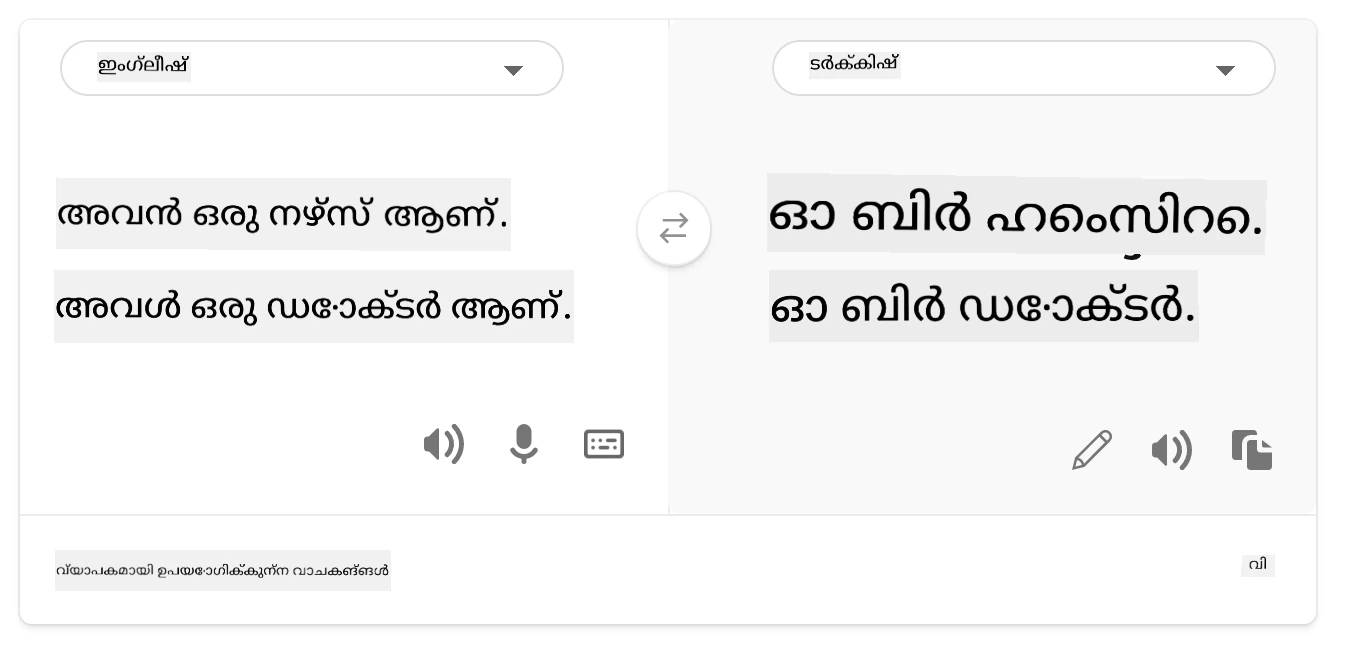 translation to Turkish