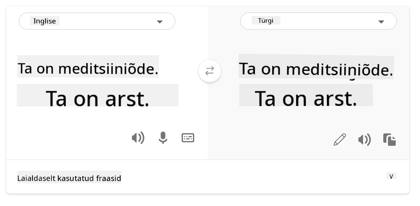 Tõlge türgi keelde