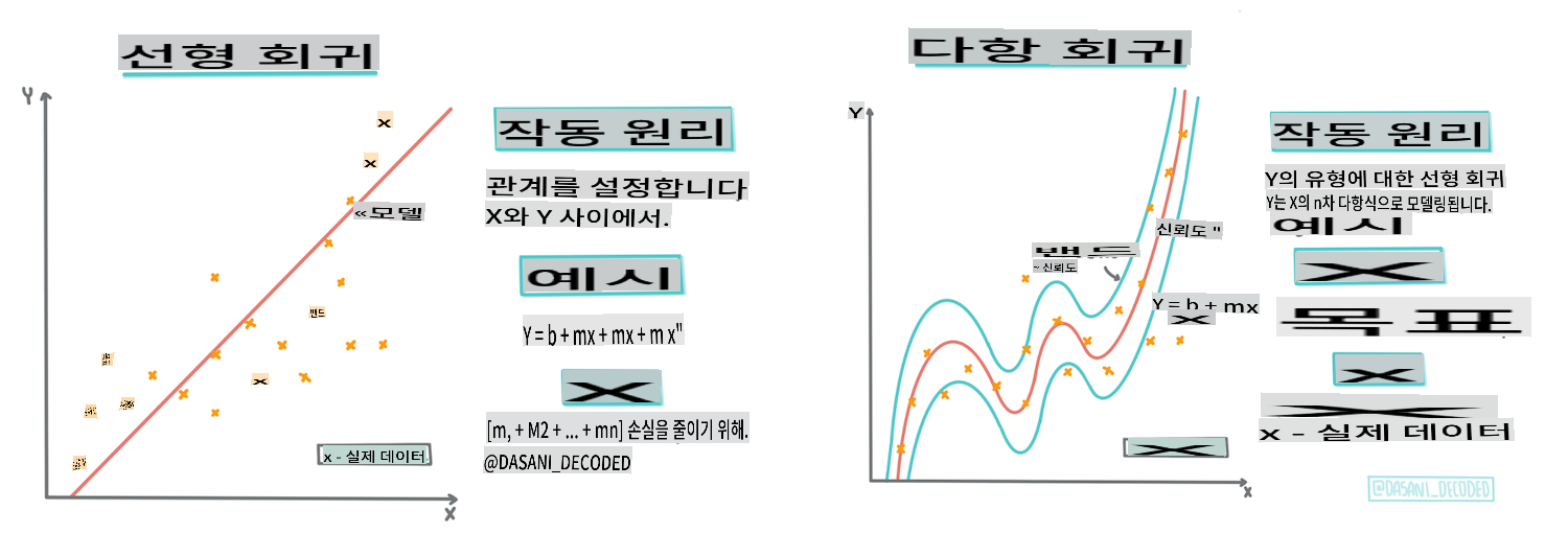 선형 vs 다항 회귀 인포그래픽