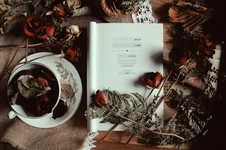 Pride and Prejudice کتاب اور چائے