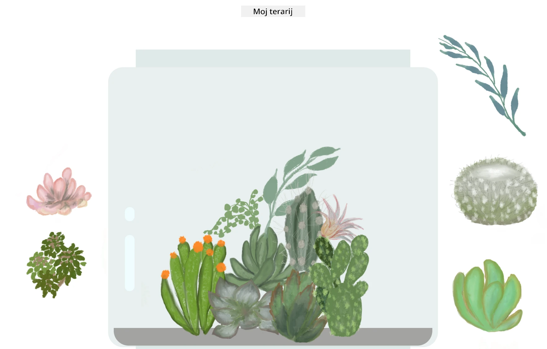 moj terarij