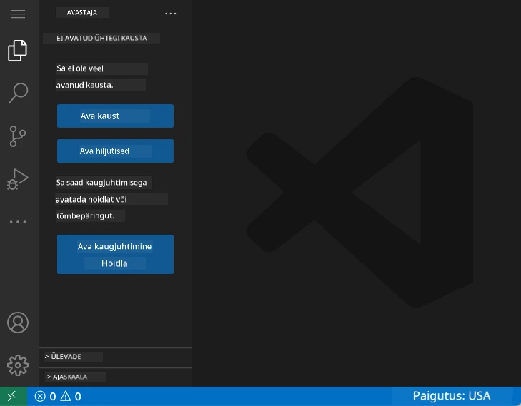Vaikimisi VSCode.devi liides