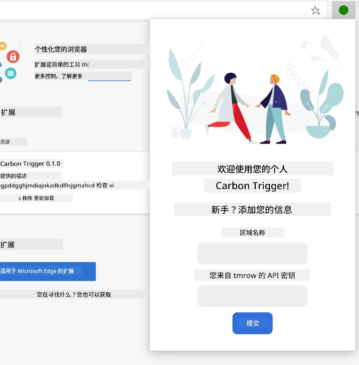 扩展完整界面截图,显示包含地区名称和 API 密钥输入的表单