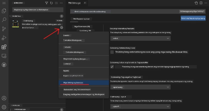 Pag-customize ng mga setting ng extension