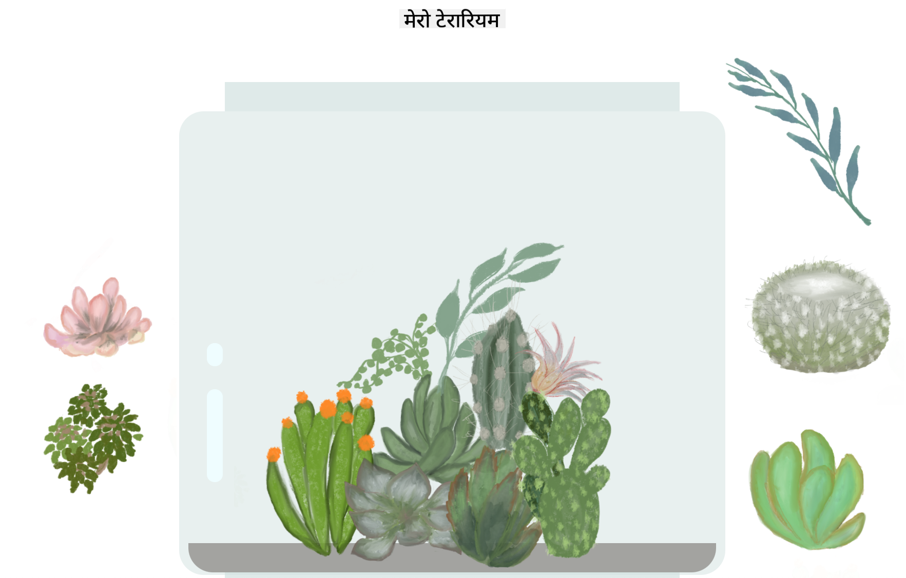 मेरो टेरारियम