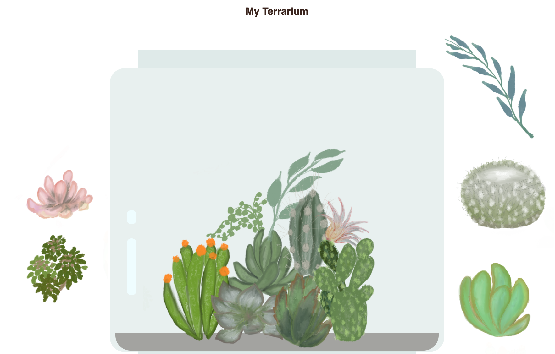 mi terrario