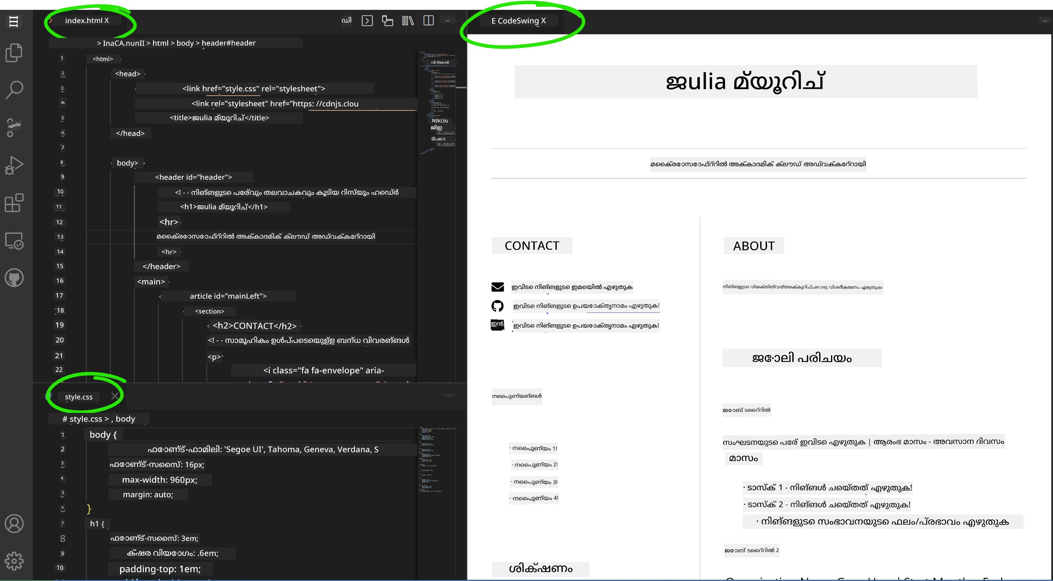 CodeSwing എക്സ്റ്റൻഷൻ ലൈവ് പ്രിവ്യൂ കാണിക്കുന്നു