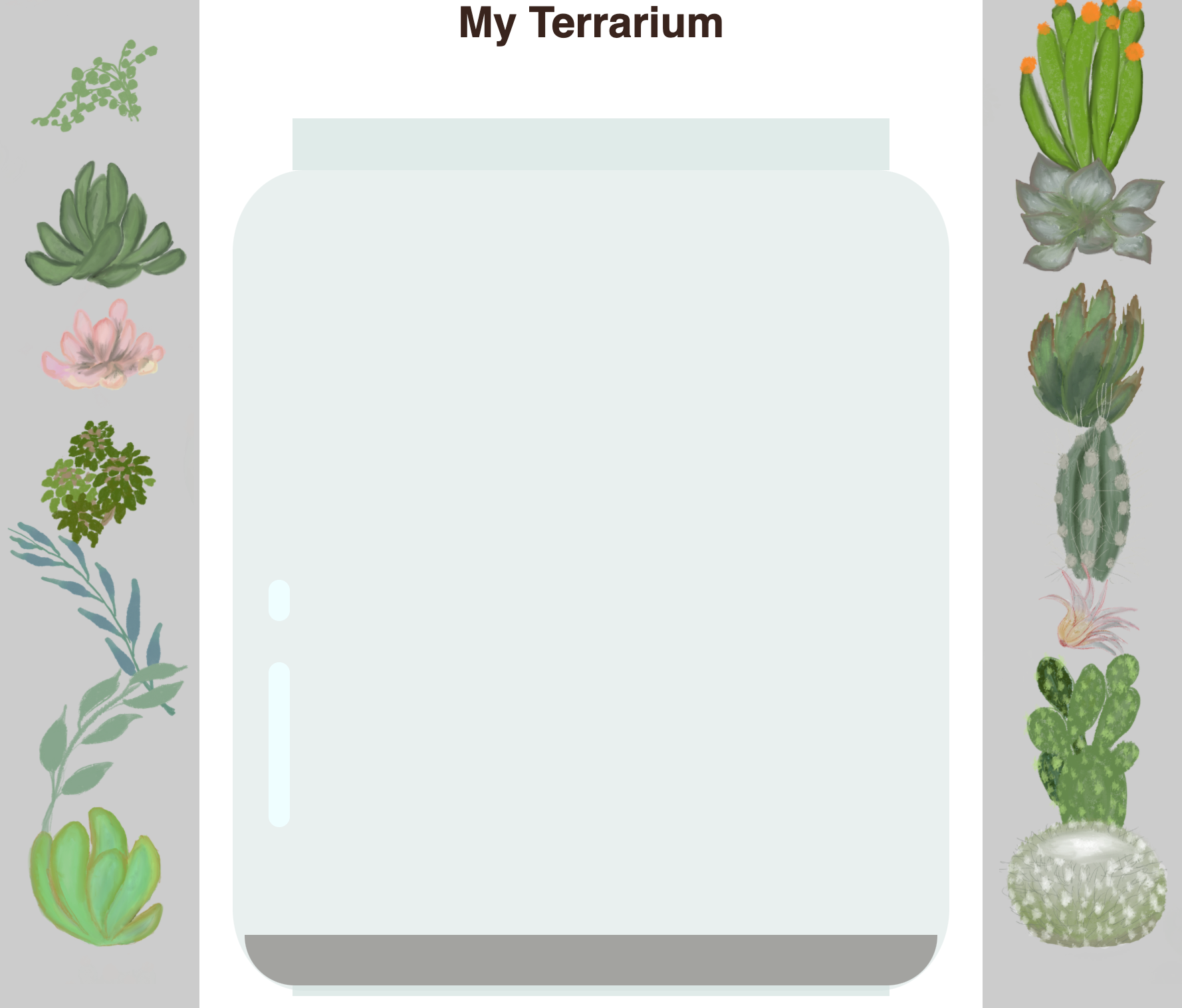 finished terrarium