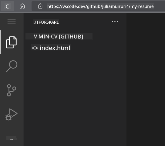 Projekt laddat i VSCode.dev