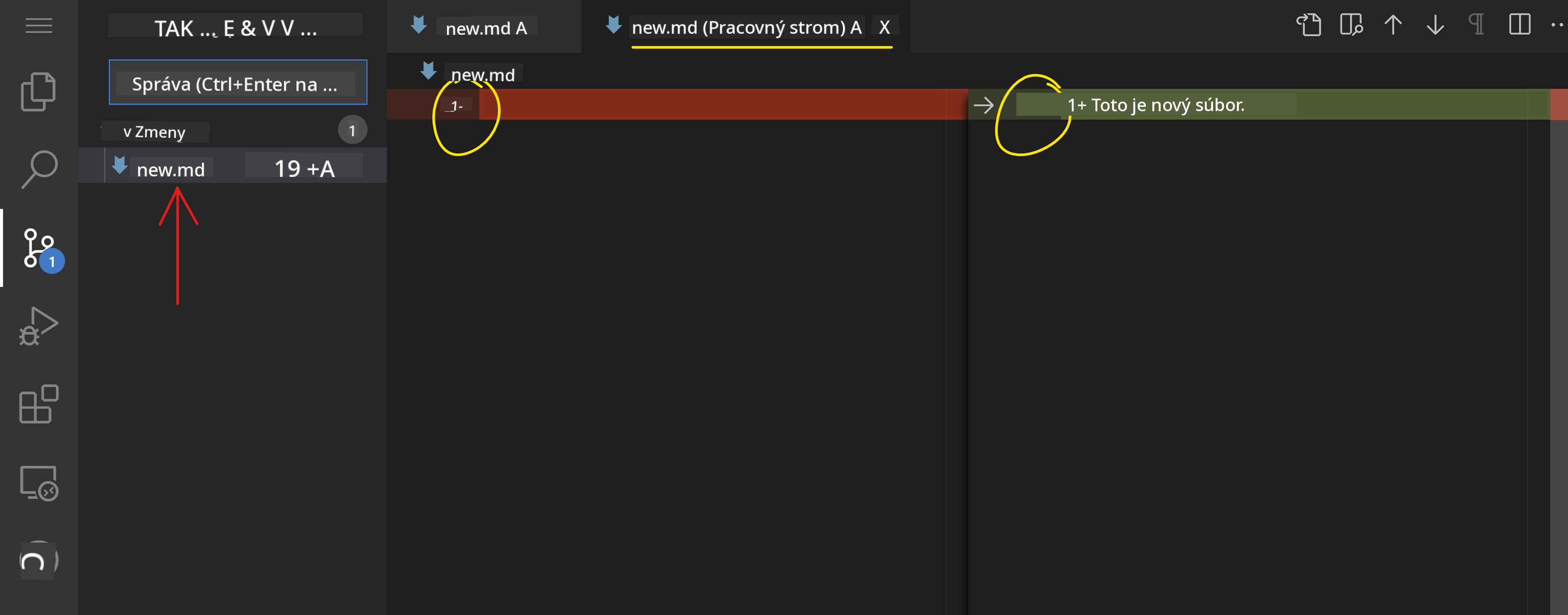 Zobrazenie zmien v Source Control