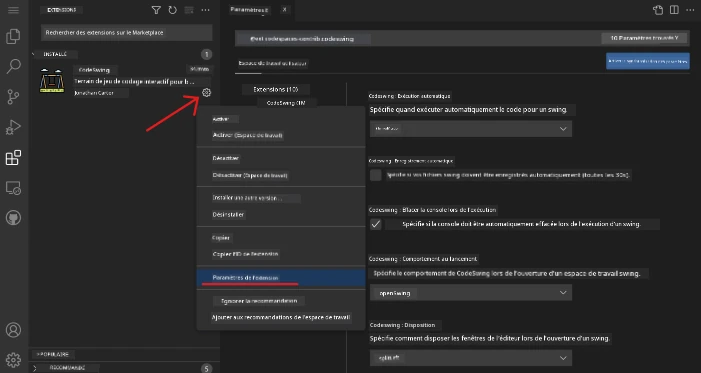 Personnaliser les paramètres d’une extension