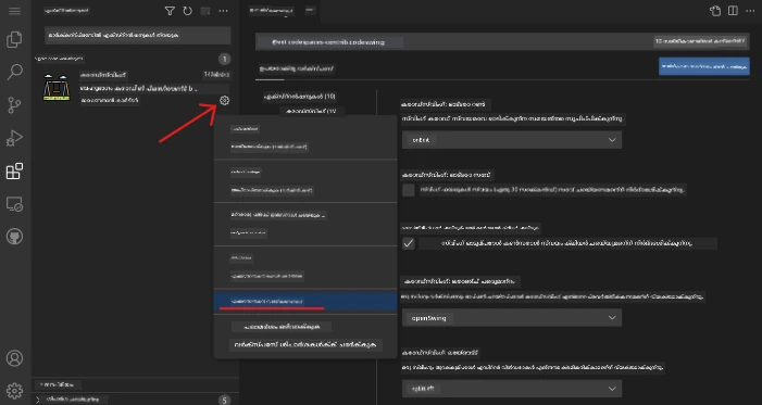 Customizing extension settings