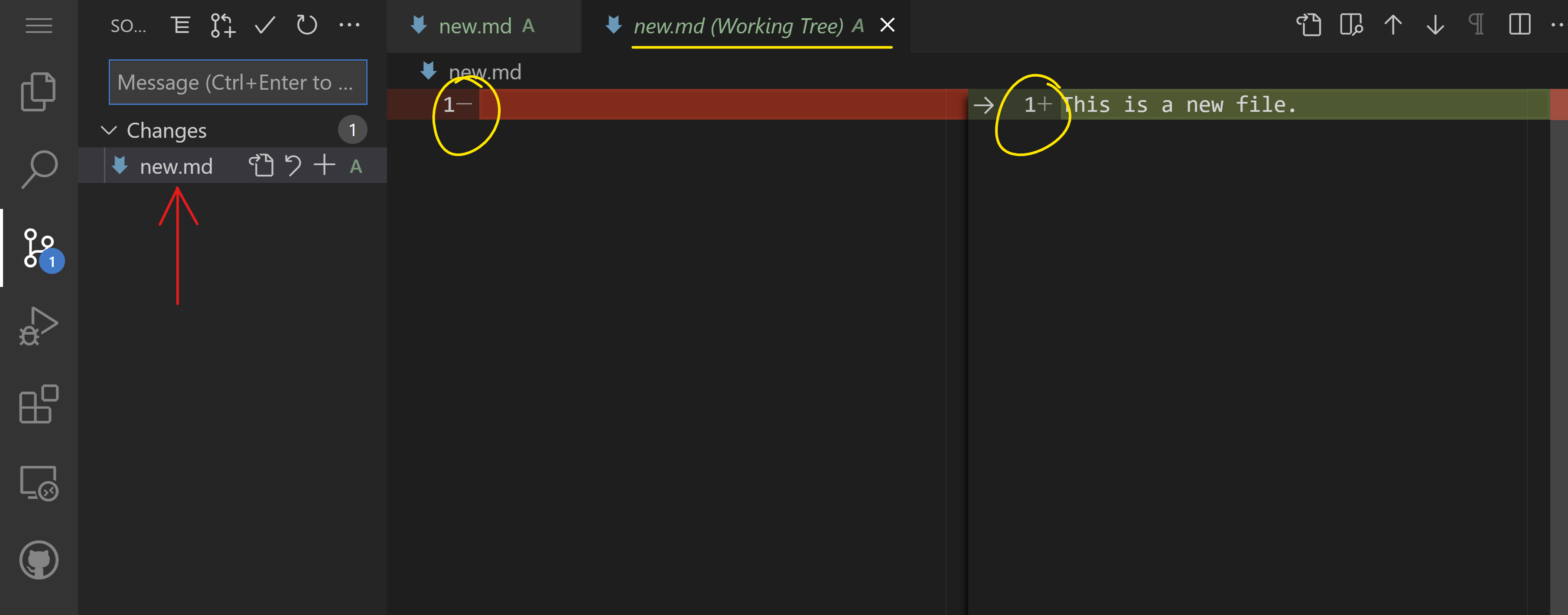 Viewing changes in Source Control
