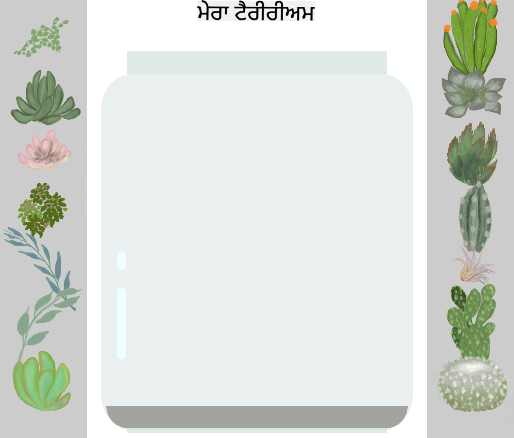 finished terrarium
