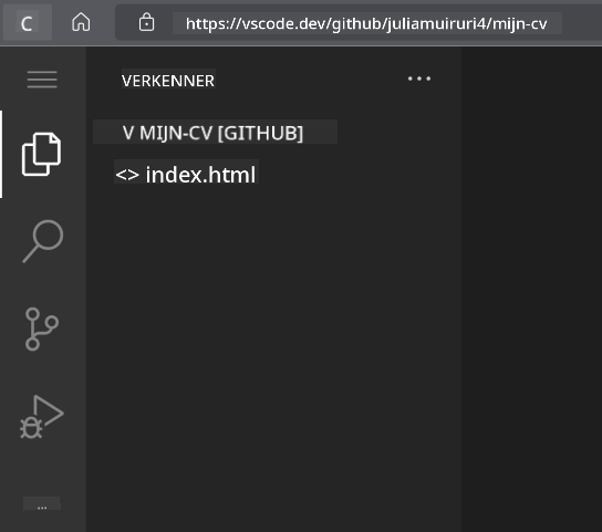 Project geladen in VSCode.dev