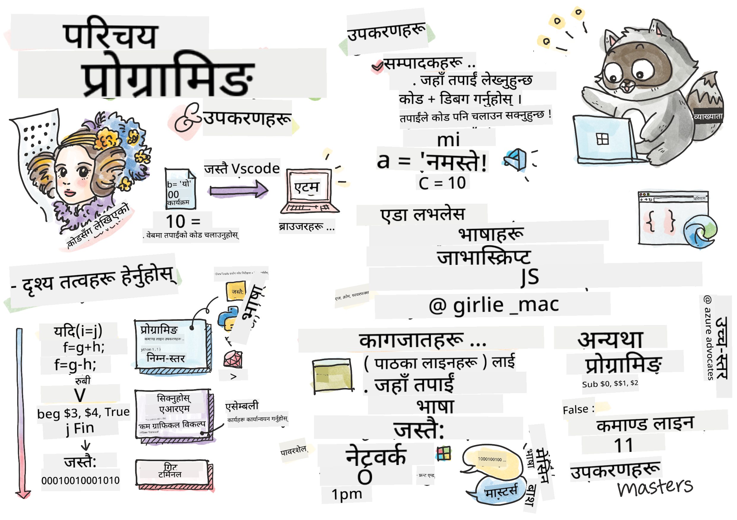 प्रोग्रामिङ परिचय