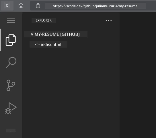 Project loaded in VSCode.dev