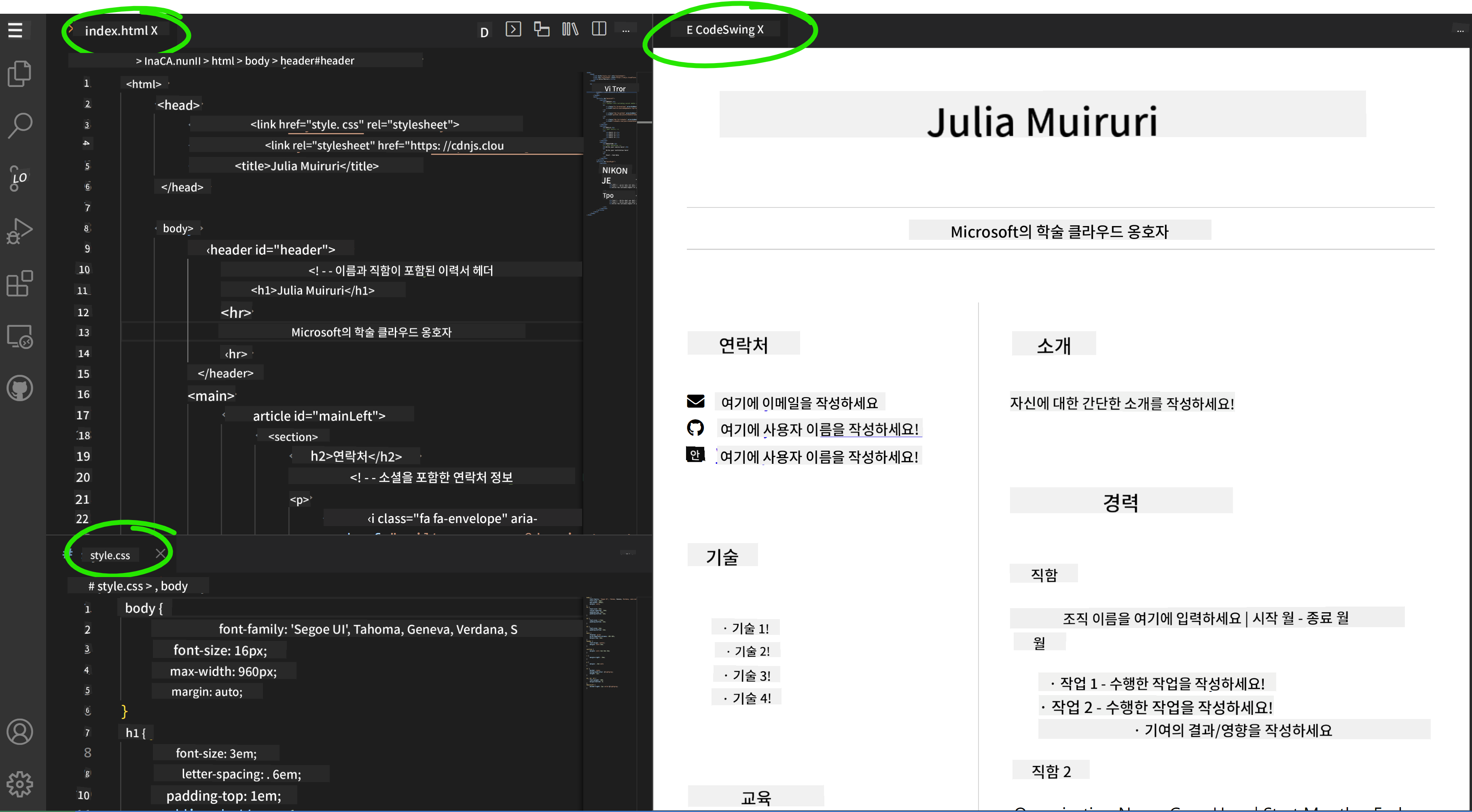 Codeswing 확장 프로그램 작동 중