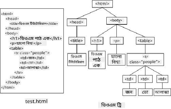 DOM গাছের উপস্থাপনা