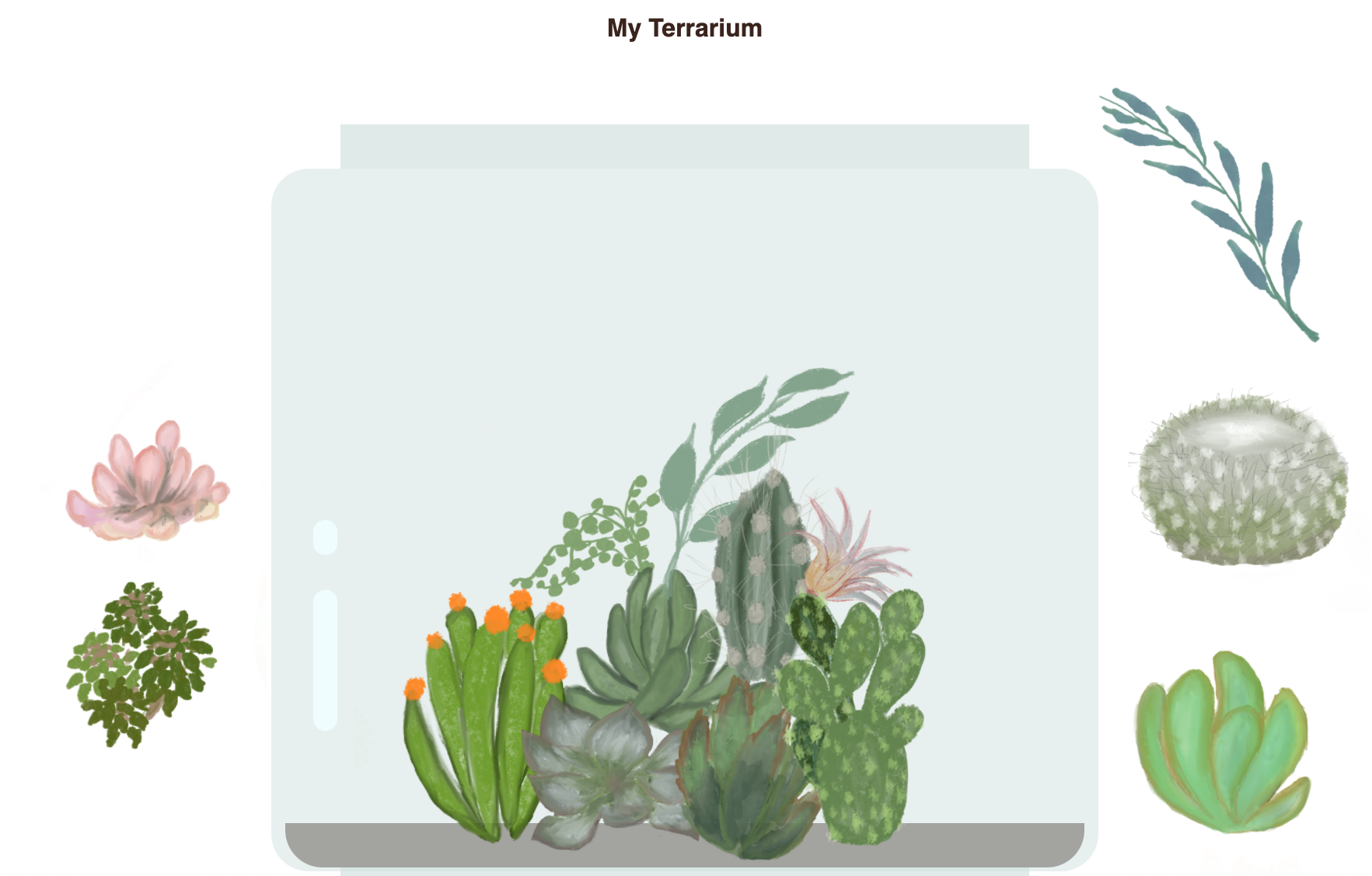 terrarium completato