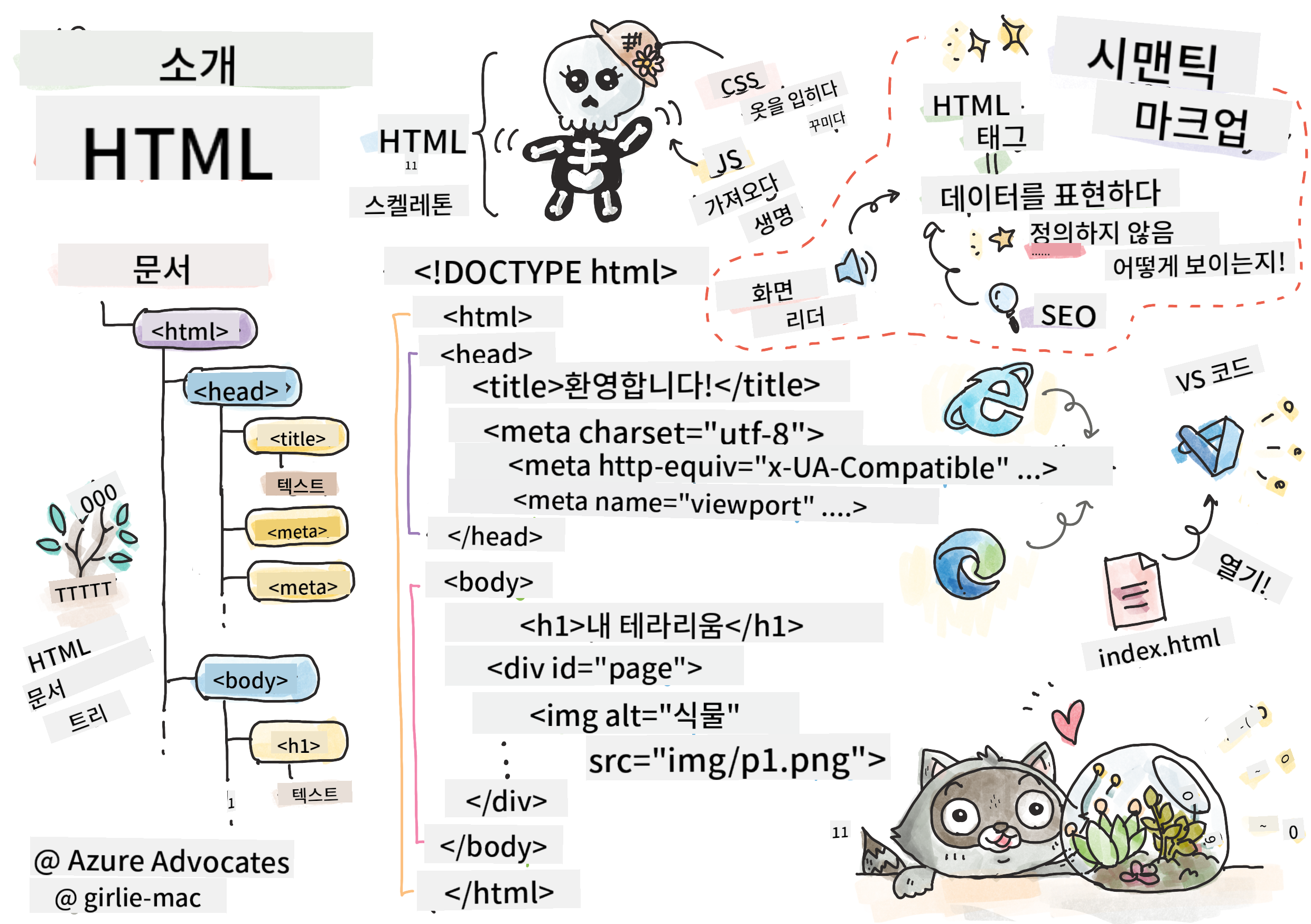 HTML 소개