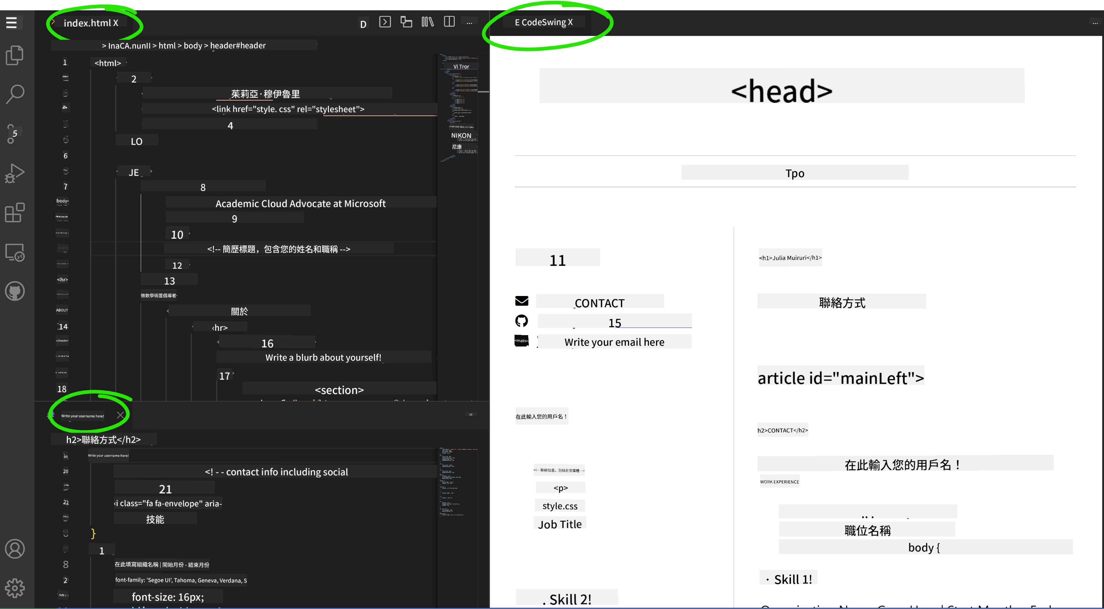 Codeswing 擴展運行效果