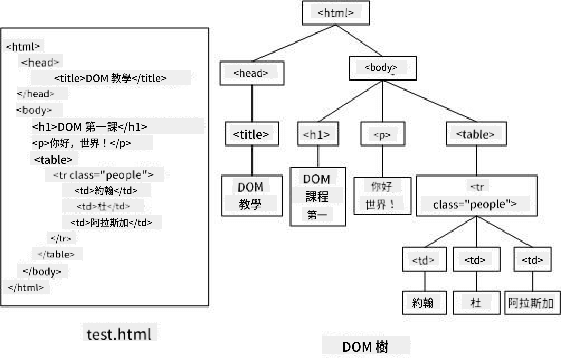 DOM 樹結構表示