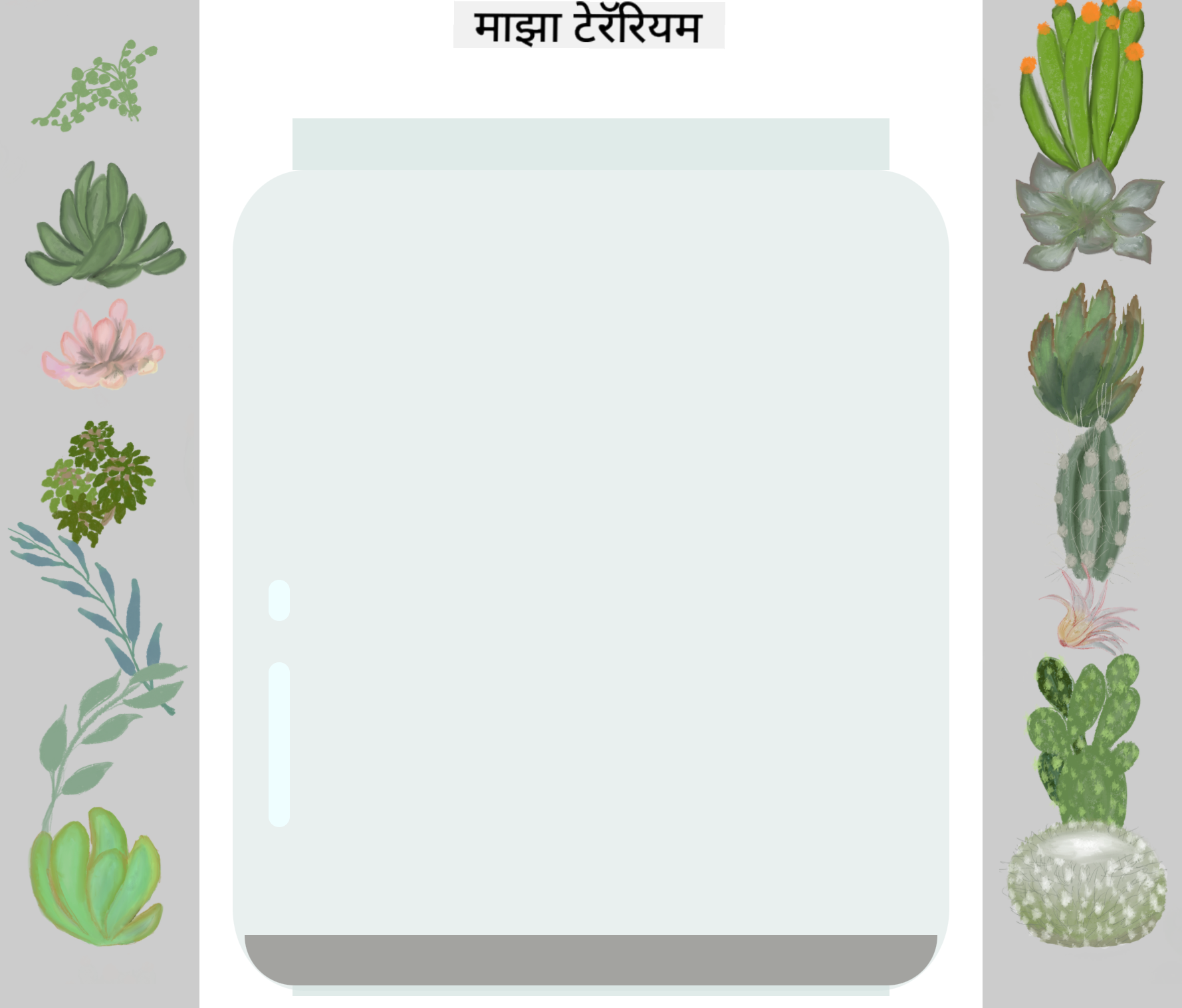 पूर्ण झालेले टेरॅरियम