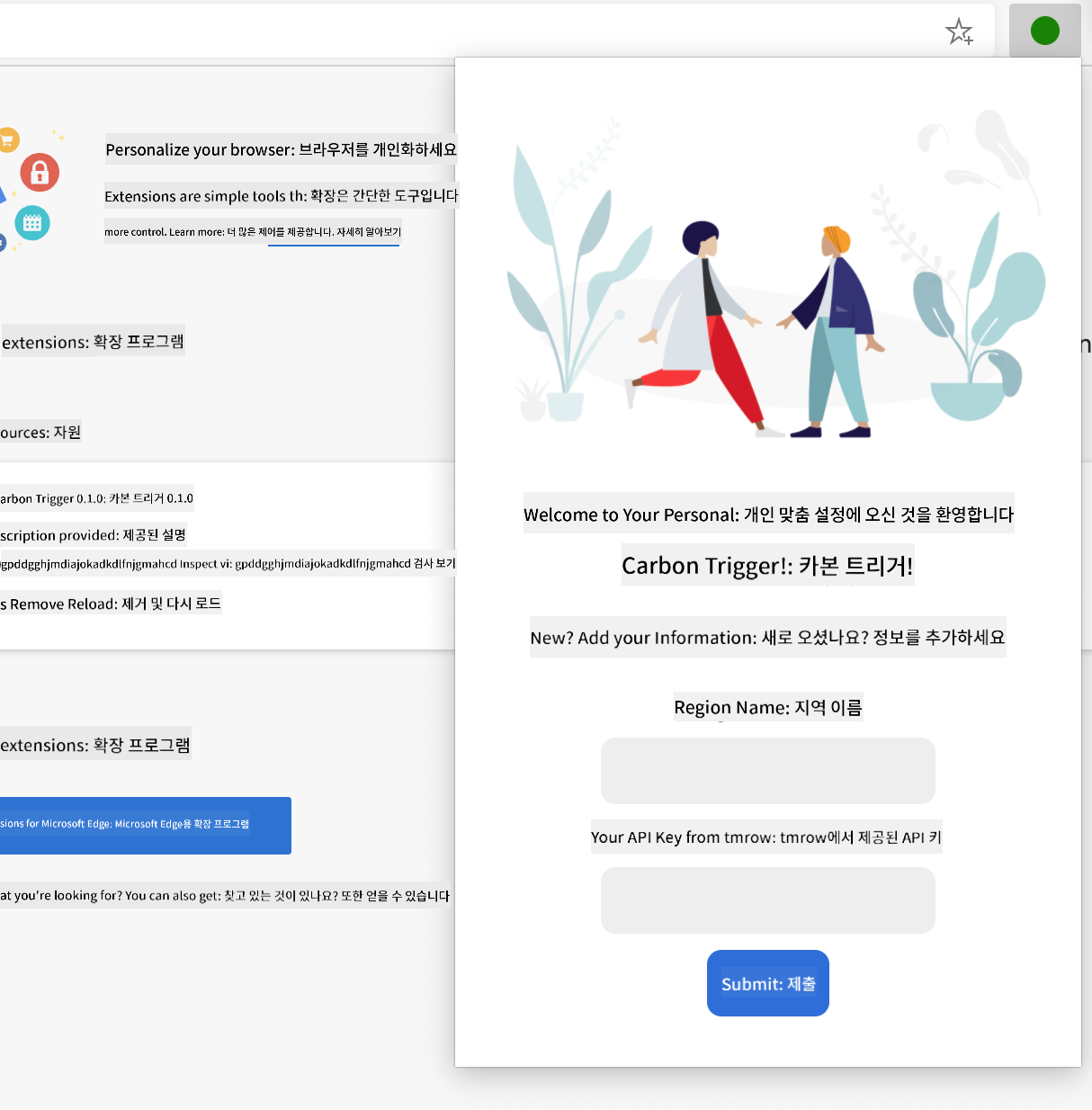 완성된 확장 프로그램이 브라우저에서 열려 있으며, 지역 이름과 API 키 입력을 위한 폼이 표시된 스크린샷