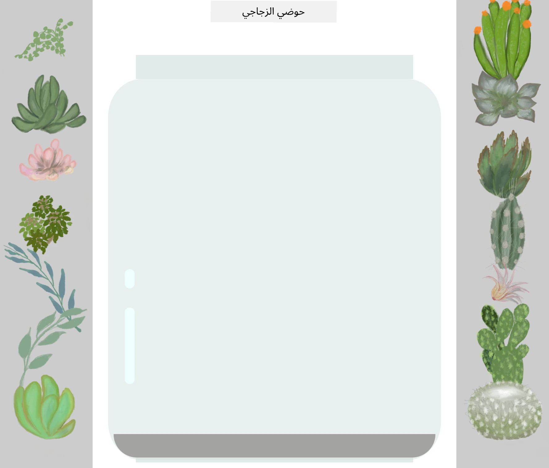 finished terrarium