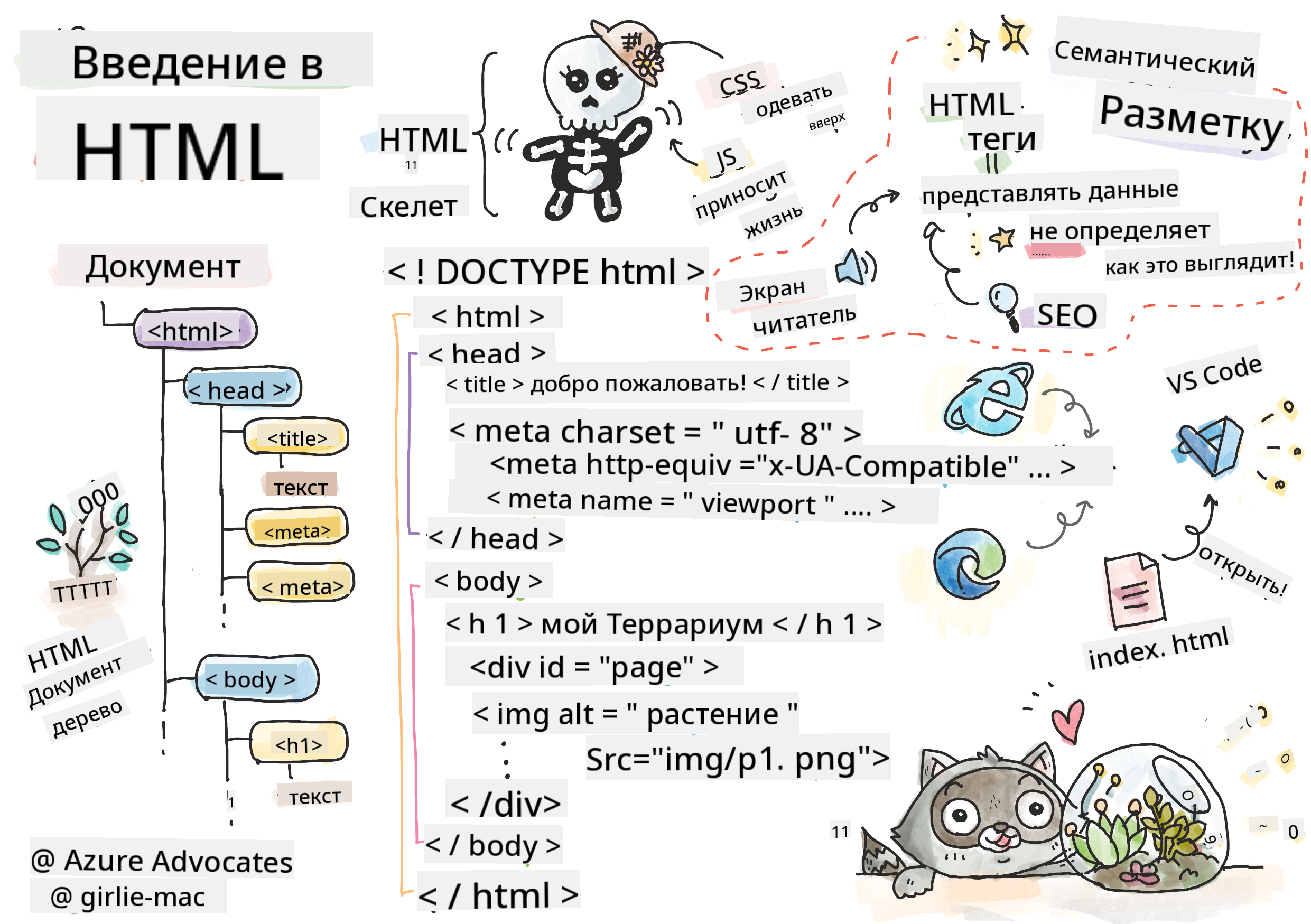 Введение в HTML