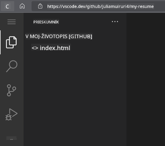 Projekt načítaný vo VSCode.dev