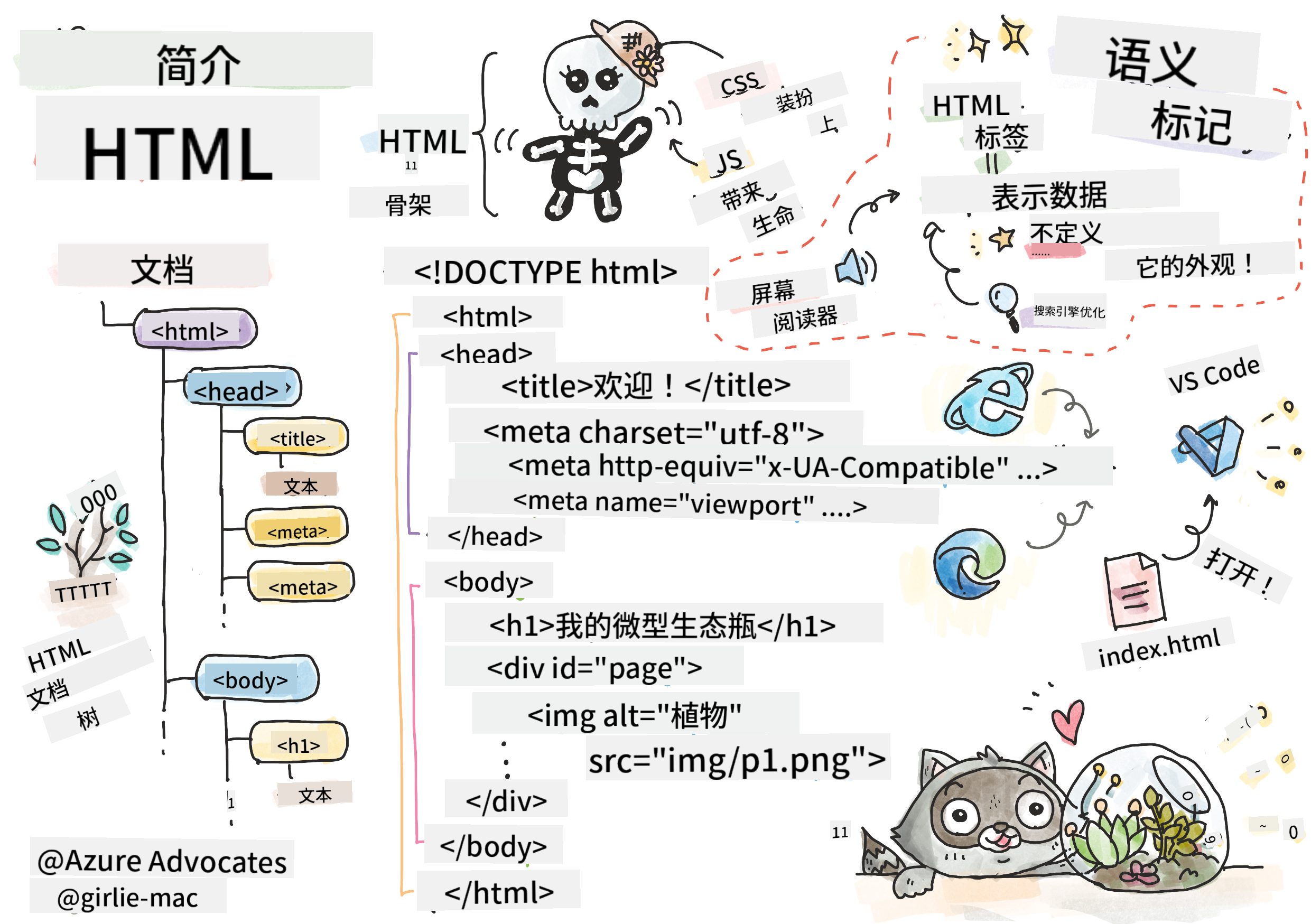 HTML 入门