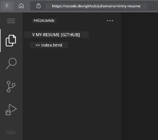 Projekt načtený ve VSCode.dev