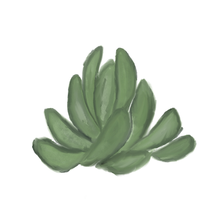 plant