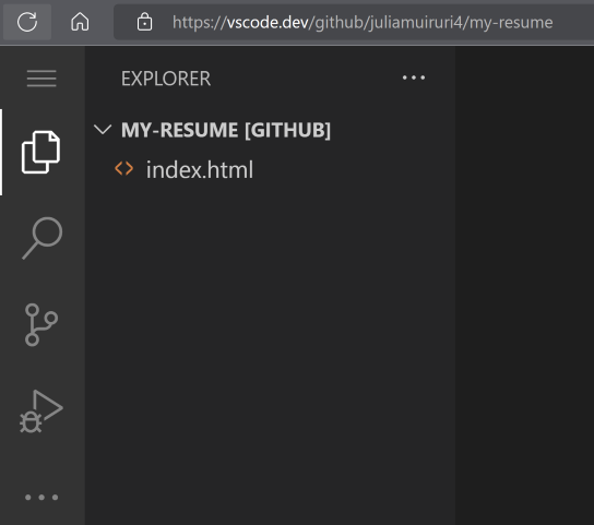 Project loaded in VSCode.dev