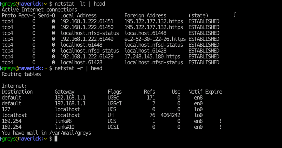 netstat