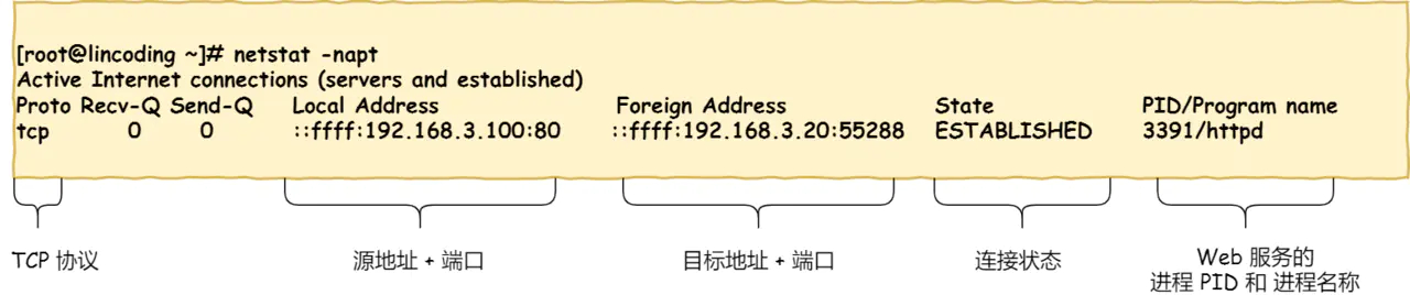 TCP连接状态查看