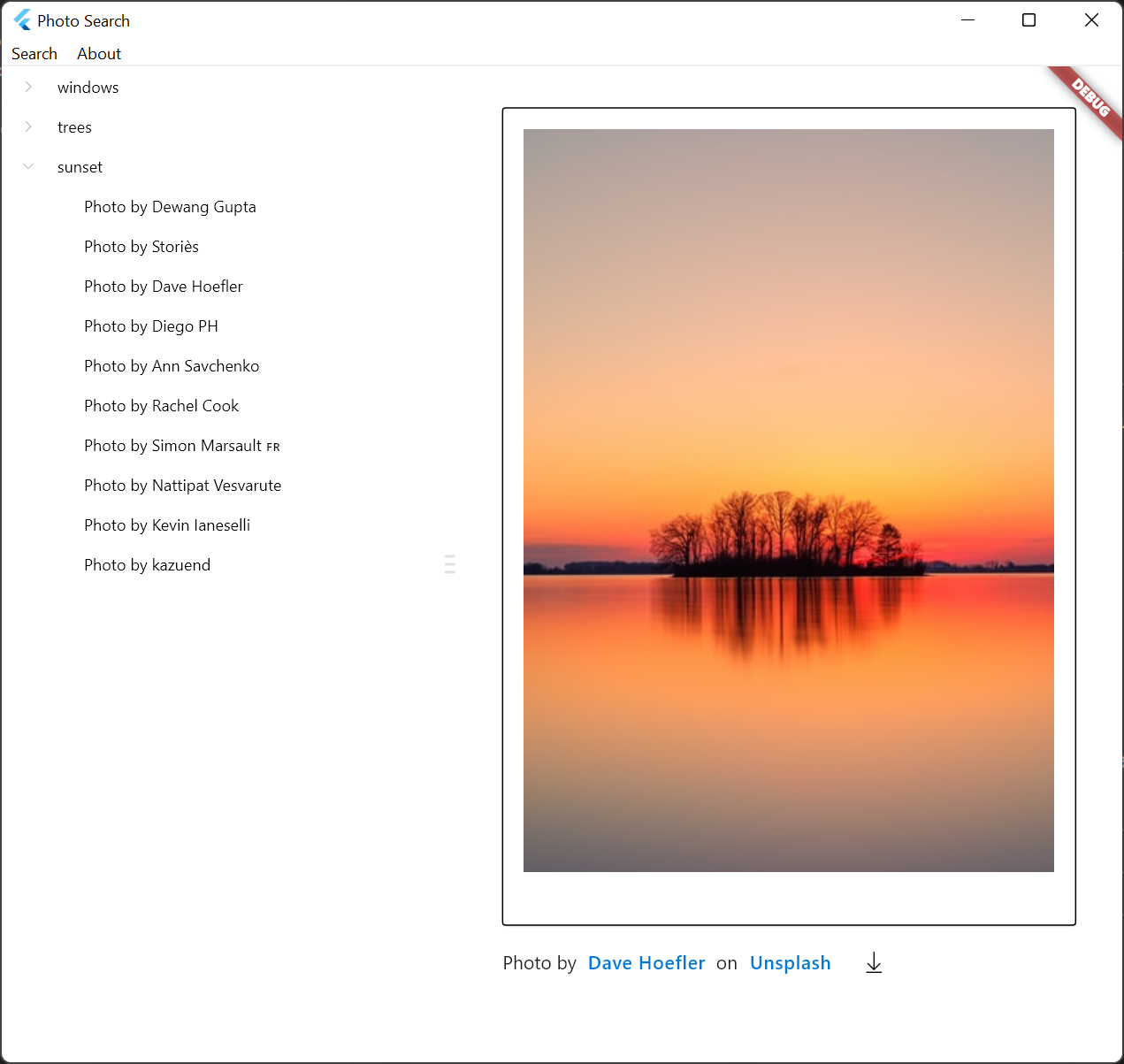 Desktop Photo Search with FluentUI widgets
